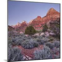 Bridge Mountain, Zion National Park, Utah, Usa-Rainer Mirau-Mounted Photographic Print