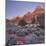 Bridge Mountain, Zion National Park, Utah, Usa-Rainer Mirau-Mounted Photographic Print