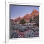 Bridge Mountain, Zion National Park, Utah, Usa-Rainer Mirau-Framed Photographic Print