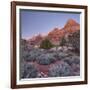 Bridge Mountain, Zion National Park, Utah, Usa-Rainer Mirau-Framed Photographic Print