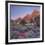 Bridge Mountain, Zion National Park, Utah, Usa-Rainer Mirau-Framed Photographic Print