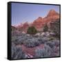 Bridge Mountain, Zion National Park, Utah, Usa-Rainer Mirau-Framed Stretched Canvas