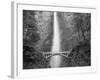 Bridge, Multnomah Falls, Columbia Gorge, Oregon, USA-Walter Bibikow-Framed Photographic Print