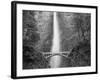 Bridge, Multnomah Falls, Columbia Gorge, Oregon, USA-Walter Bibikow-Framed Photographic Print