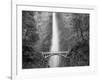 Bridge, Multnomah Falls, Columbia Gorge, Oregon, USA-Walter Bibikow-Framed Photographic Print