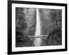 Bridge, Multnomah Falls, Columbia Gorge, Oregon, USA-Walter Bibikow-Framed Photographic Print