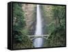 Bridge, Multnomah Falls, Columbia Gorge, Oregon, USA-Walter Bibikow-Framed Stretched Canvas