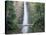 Bridge, Multnomah Falls, Columbia Gorge, Oregon, USA-Walter Bibikow-Stretched Canvas