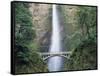 Bridge, Multnomah Falls, Columbia Gorge, Oregon, USA-Walter Bibikow-Framed Stretched Canvas