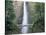 Bridge, Multnomah Falls, Columbia Gorge, Oregon, USA-Walter Bibikow-Stretched Canvas