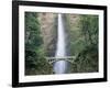 Bridge, Multnomah Falls, Columbia Gorge, Oregon, USA-Walter Bibikow-Framed Photographic Print