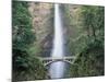 Bridge, Multnomah Falls, Columbia Gorge, Oregon, USA-Walter Bibikow-Mounted Photographic Print