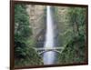 Bridge, Multnomah Falls, Columbia Gorge, Oregon, USA-Walter Bibikow-Framed Photographic Print