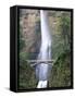 Bridge, Multnomah Falls, Columbia Gorge, Oregon, USA-Walter Bibikow-Framed Stretched Canvas