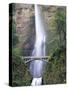 Bridge, Multnomah Falls, Columbia Gorge, Oregon, USA-Walter Bibikow-Stretched Canvas