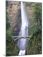 Bridge, Multnomah Falls, Columbia Gorge, Oregon, USA-Walter Bibikow-Mounted Premium Photographic Print