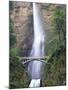 Bridge, Multnomah Falls, Columbia Gorge, Oregon, USA-Walter Bibikow-Mounted Premium Photographic Print