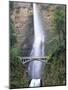 Bridge, Multnomah Falls, Columbia Gorge, Oregon, USA-Walter Bibikow-Mounted Photographic Print