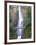 Bridge, Multnomah Falls, Columbia Gorge, Oregon, USA-Walter Bibikow-Framed Photographic Print