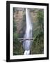 Bridge, Multnomah Falls, Columbia Gorge, Oregon, USA-Walter Bibikow-Framed Photographic Print