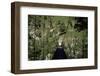 Bridge Near Larrau, Holzarte, Pays Basque, Pyrenees, Aquitaine, France-Nelly Boyd-Framed Premium Photographic Print