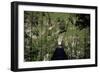 Bridge Near Larrau, Holzarte, Pays Basque, Pyrenees, Aquitaine, France-Nelly Boyd-Framed Photographic Print