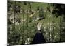 Bridge Near Larrau, Holzarte, Pays Basque, Pyrenees, Aquitaine, France-Nelly Boyd-Mounted Photographic Print