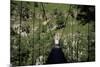 Bridge Near Larrau, Holzarte, Pays Basque, Pyrenees, Aquitaine, France-Nelly Boyd-Mounted Photographic Print