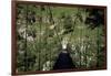 Bridge Near Larrau, Holzarte, Pays Basque, Pyrenees, Aquitaine, France-Nelly Boyd-Framed Photographic Print