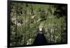 Bridge Near Larrau, Holzarte, Pays Basque, Pyrenees, Aquitaine, France-Nelly Boyd-Framed Photographic Print