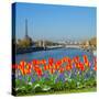 Bridge of Alexandre Iii, Paris-neirfy-Stretched Canvas