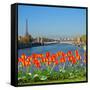 Bridge of Alexandre Iii, Paris-neirfy-Framed Stretched Canvas