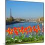 Bridge of Alexandre Iii, Paris-neirfy-Mounted Photographic Print