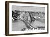 Bridge of Boats over the Indus at Khushalgarh, Pakistan, 1895-null-Framed Giclee Print
