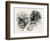 Bridge of Garry, UK-null-Framed Giclee Print