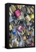 Bridge of love locks, Notre Dame, Paris, France-Jim Engelbrecht-Framed Stretched Canvas