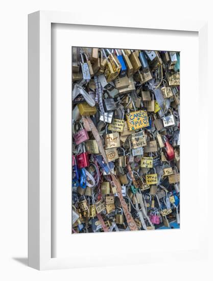 Bridge of love locks, Notre Dame, Paris, France-Lisa S. Engelbrecht-Framed Photographic Print