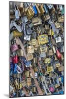 Bridge of love locks, Notre Dame, Paris, France-Lisa S. Engelbrecht-Mounted Photographic Print