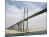 Bridge of Peace, Suez Canal, Egypt-Cindy Miller Hopkins-Mounted Photographic Print