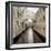 Bridge Of Sighs #1-Alan Blaustein-Framed Photographic Print