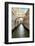 Bridge Of Sighs #1-Alan Blaustein-Framed Photographic Print