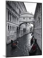 Bridge of Sighs, Doge's Palace, Venice, Italy-Jon Arnold-Mounted Photographic Print
