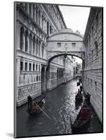 Bridge of Sighs, Doge's Palace, Venice, Italy-Jon Arnold-Mounted Photographic Print