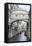 Bridge of Sighs in winter, Venice, UNESCO World Heritage Site, Veneto, Italy, Europe-Eleanor Scriven-Framed Stretched Canvas
