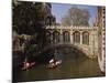 Bridge of Sighs over the River Cam at St. John's College, Cambridge, Cambridgeshire, England, UK-Nigel Blythe-Mounted Photographic Print