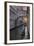 Bridge of Sighs, Venice, UNESCO World Heritage Site, Veneto, Italy, Europe-Angelo Cavalli-Framed Photographic Print