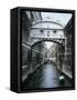 Bridge of Sighs, Venice, Veneto, Italy-Christina Gascoigne-Framed Stretched Canvas