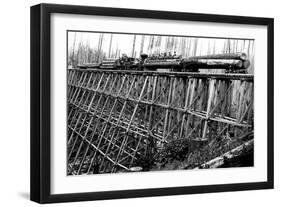 Bridge of Trees-Clark Kinsey-Framed Art Print