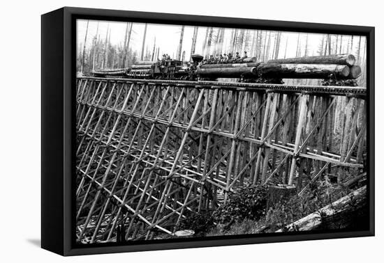 Bridge of Trees-Clark Kinsey-Framed Stretched Canvas