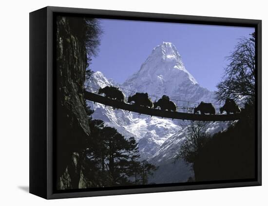 Bridge on Ama Dablam, Nepal-Michael Brown-Framed Stretched Canvas